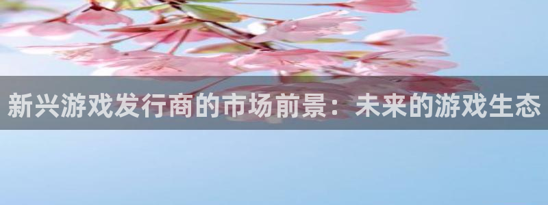 亿万28球队：新兴游戏发行商的市场前景：未来的游戏生态