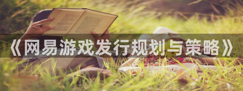陕西亿万28子文化公司加我qq：《网易游戏发行规划与策略》