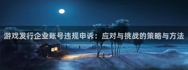 四川亿万28科技有限公司：游戏发行企业账号违规申诉：应对与挑战的策略与方法