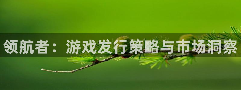 亿万28商标：领航者：游戏发行策略与市场洞察