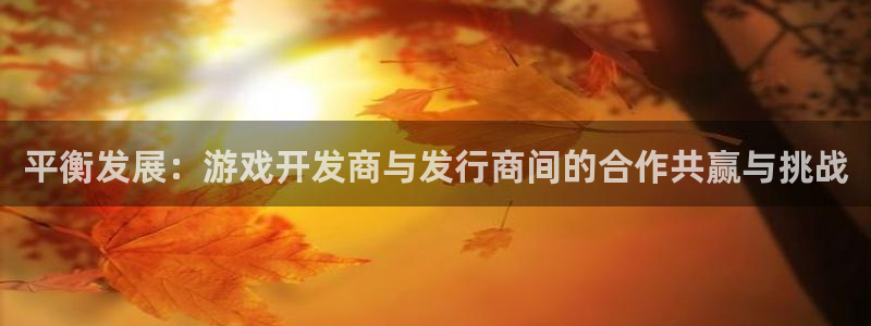 亿万28官网平台怎么样知乎：平衡发展：游戏开发商与发行商间的合作共赢与挑战