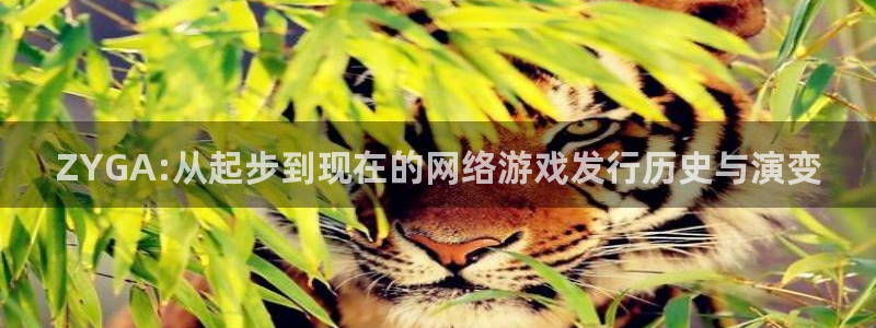 亿万28防水是几线品牌：ZYGA:从起步到现在的网络游戏发行历史与演变