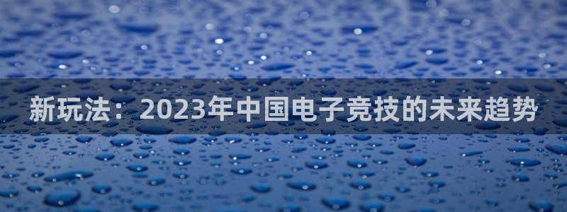 亿万28智邦(北京)品牌策划有限公司：新玩法：2023年中国电子竞技的未来趋势