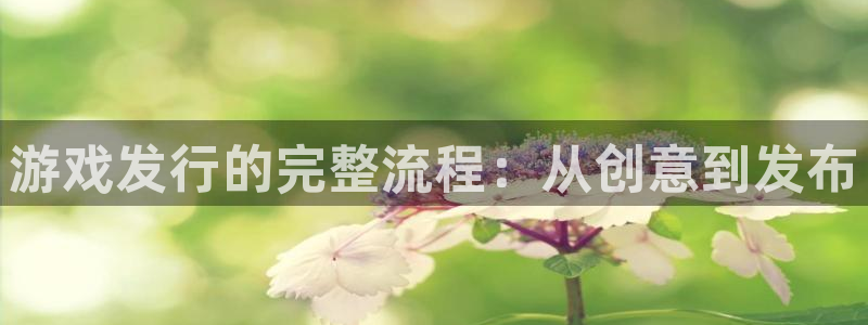 亿万28品牌策划：游戏发行的完整流程：从创意到发布
