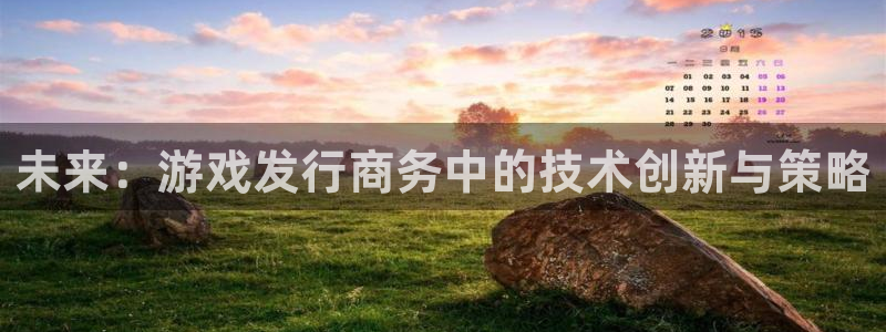 亿万28子酒业：未来：游戏发行商务中的技术创新与策略
