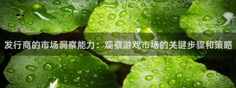 亿万28子财经图书：发行商的市场洞察能力：观察游戏市场的关键步骤和策略