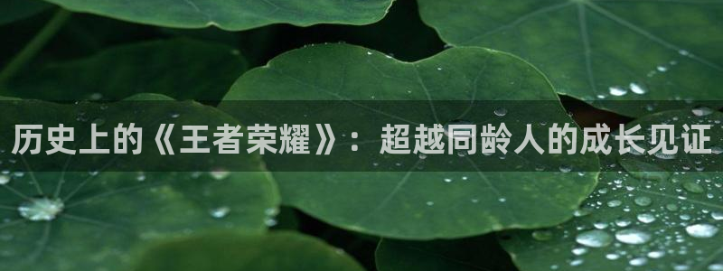 江苏亿万28人力资源有限公司怎么样：历史上的《王者荣耀》：超越同龄人的成长见证