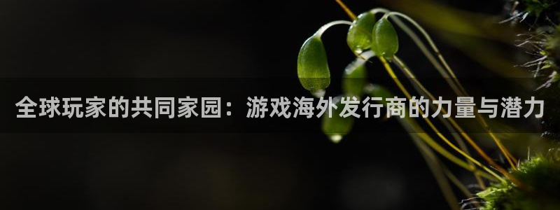 亿万28庄园：全球玩家的共同家园：游戏海外发行商的力量与潜力