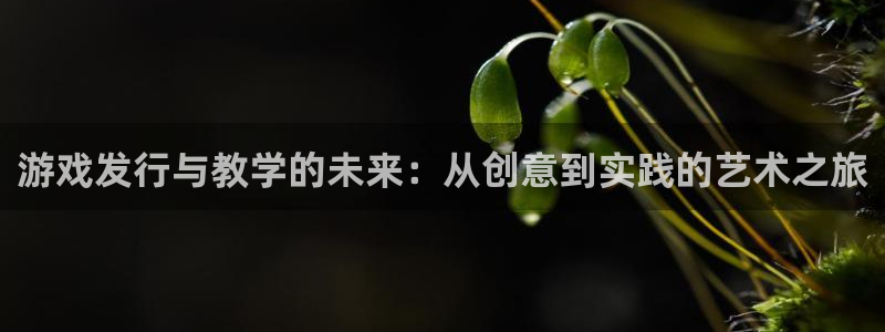 亿万28官网开户待遇：游戏发行与教学的未来：从创意到实践的艺术之旅