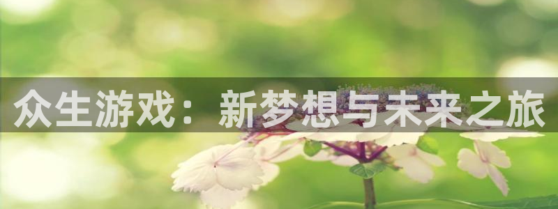 亿万28集团：众生游戏：新梦想与未来之旅