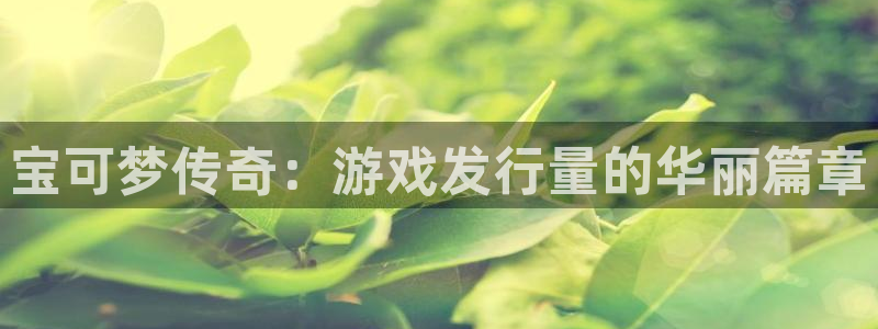 亿万28品牌：宝可梦传奇：游戏发行量的华丽篇章