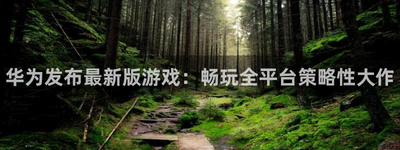 亿万28官网客服电话：华为发布最新版游戏：畅玩全平台策略性大作