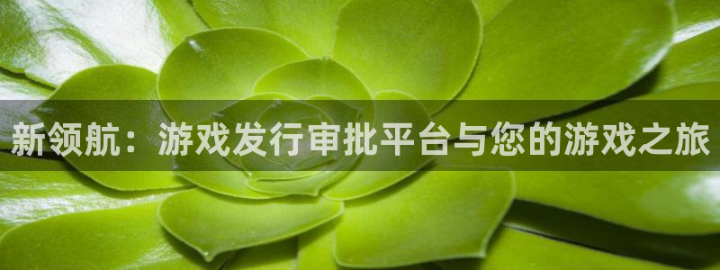 亿万28官网登录注册：新领航：游戏发行审批平台与您的游戏之旅