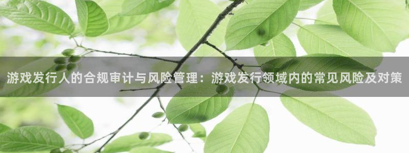 亿万28官网注册平台怎么注册不了：游戏发行人的合规审计与风险管理：游戏发行领域内的常见风险及对策